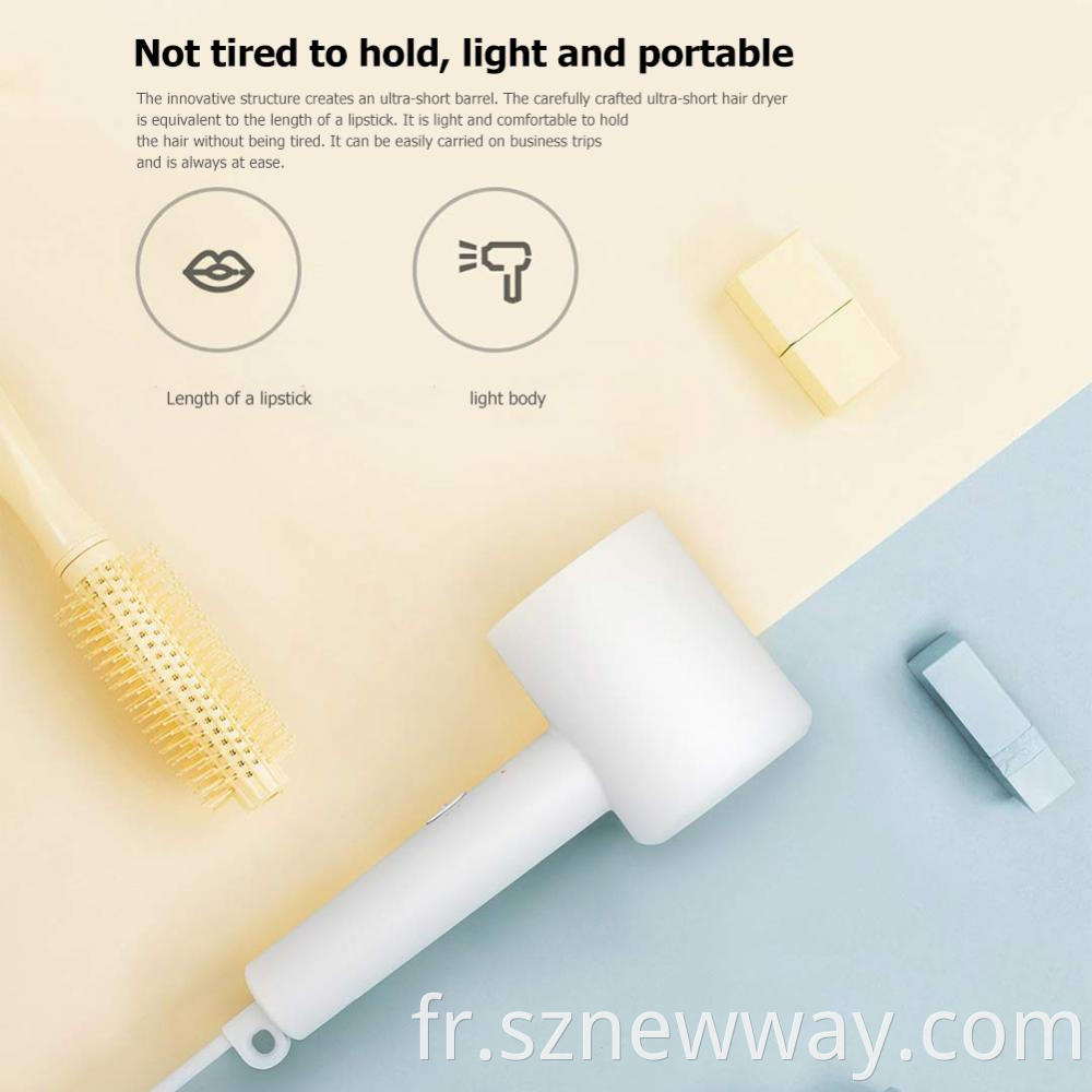 Xiaomi Hair Dryer H300